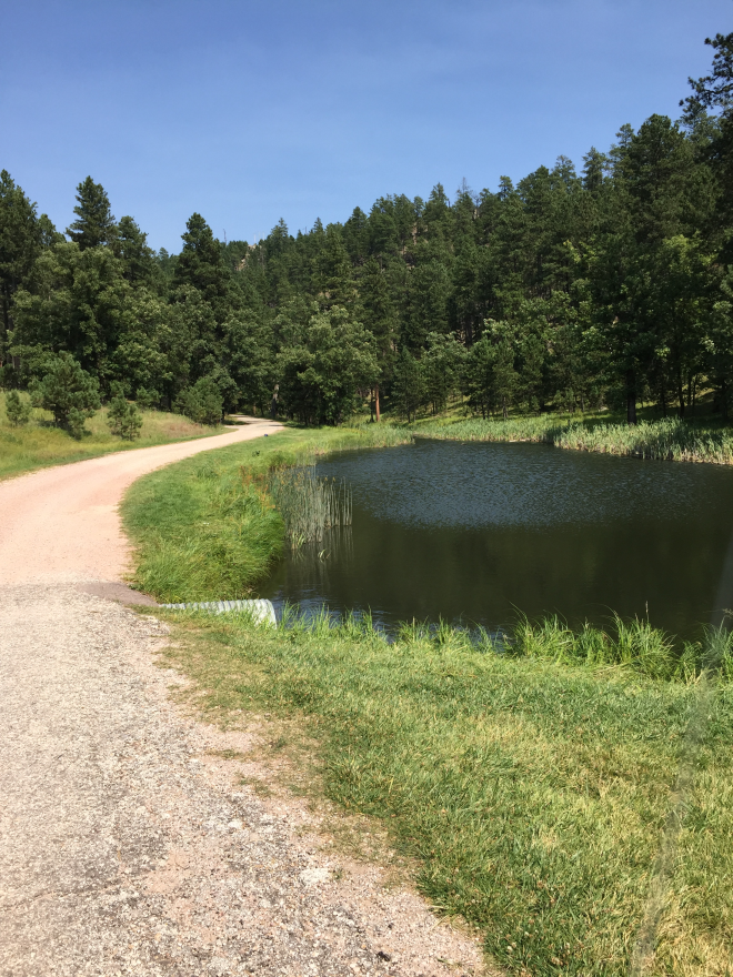 Trailhead of the Grace Coolidge Walk-In Fishing Area Trail in Custer National Park.